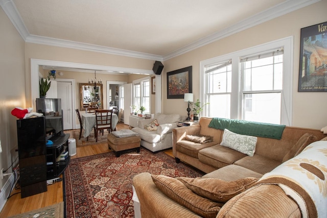 living area featuring crown molding and wood finished floors