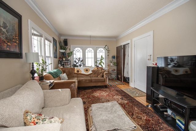 living area featuring ornamental molding and wood finished floors