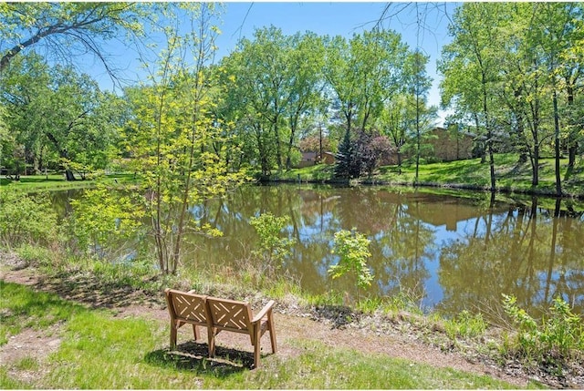 view of water feature