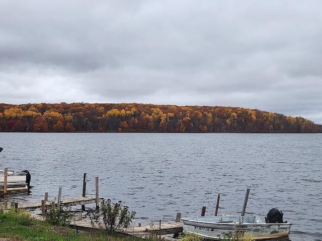 view of dock with a wooded view and a water view