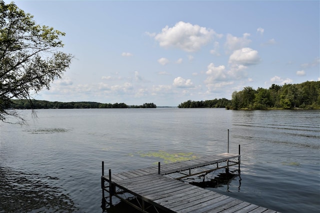 dock area with a water view