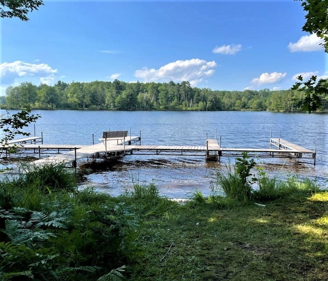 view of dock with a wooded view and a water view