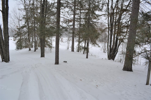 yard layered in snow with a garage