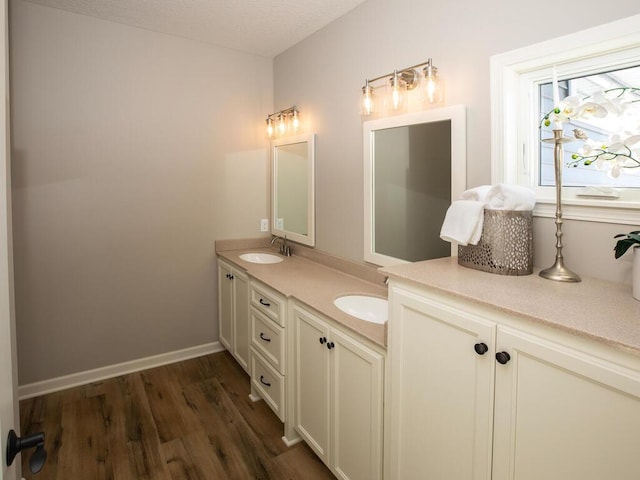 25338 Farmstead Ln, Wyoming, MN 55092 - full bath with wood finished floors, a sink, and double vanity