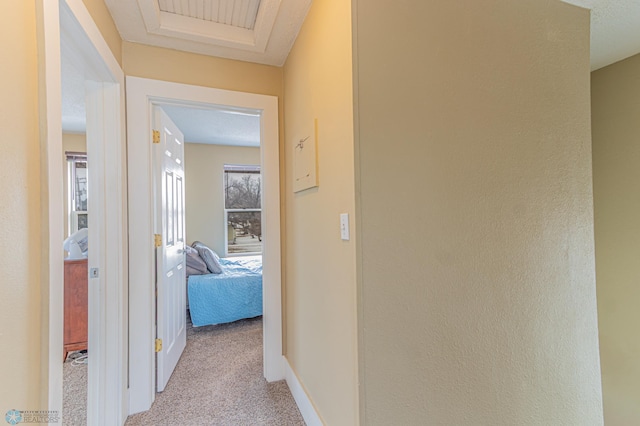 hall with light carpet and baseboards