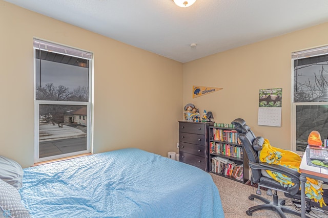 bedroom with carpet