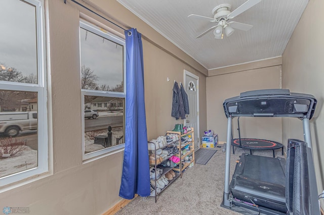 workout room featuring a ceiling fan and carpet