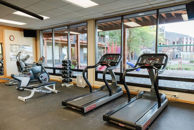 exercise room featuring expansive windows and a paneled ceiling