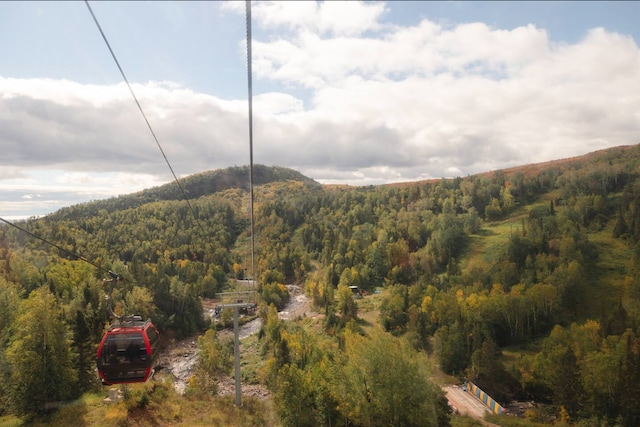 mountain view with a wooded view