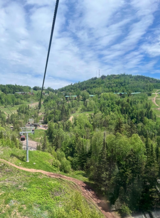 drone / aerial view with a forest view