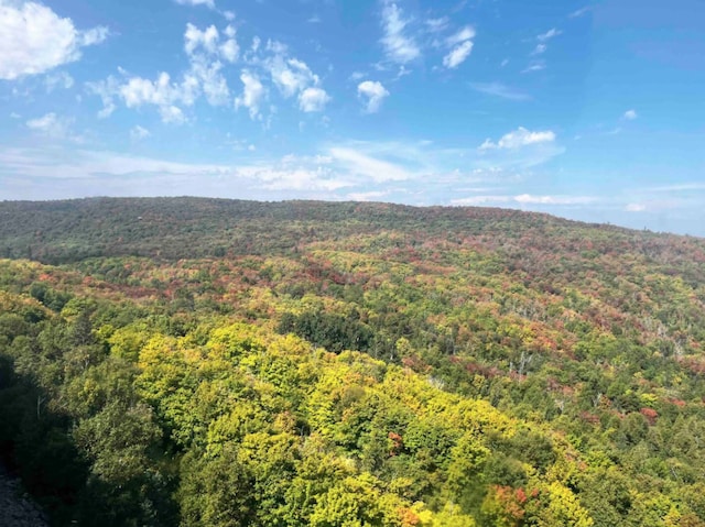 birds eye view of property with a forest view