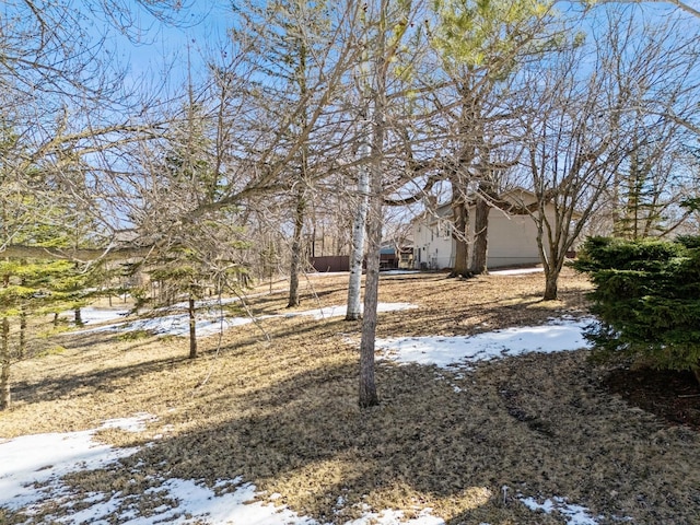 view of yard layered in snow