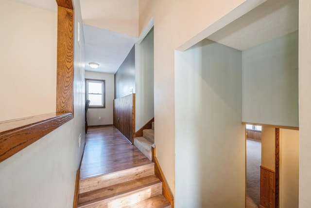 stairs with wood finished floors and baseboards