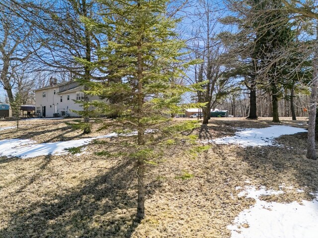 view of snowy yard