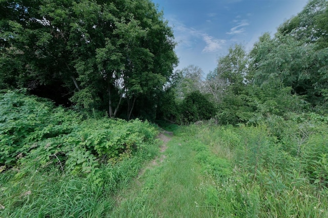 18600 Harrow Ave N, Forest Lake, MN 55025 - photo 46