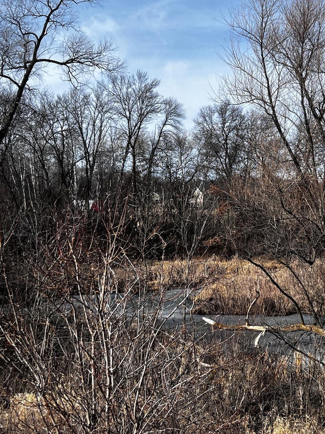 view of local wilderness