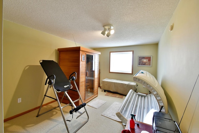 workout area featuring baseboards, carpet, and a textured ceiling