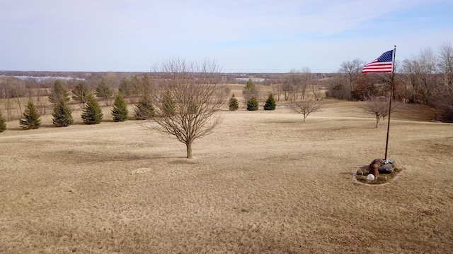 view of yard with a rural view