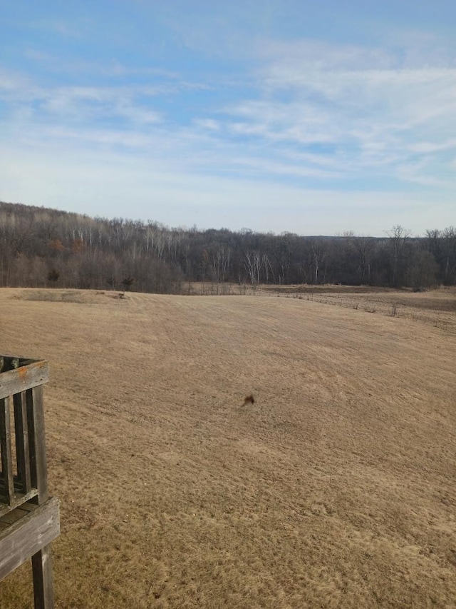 view of yard with a rural view