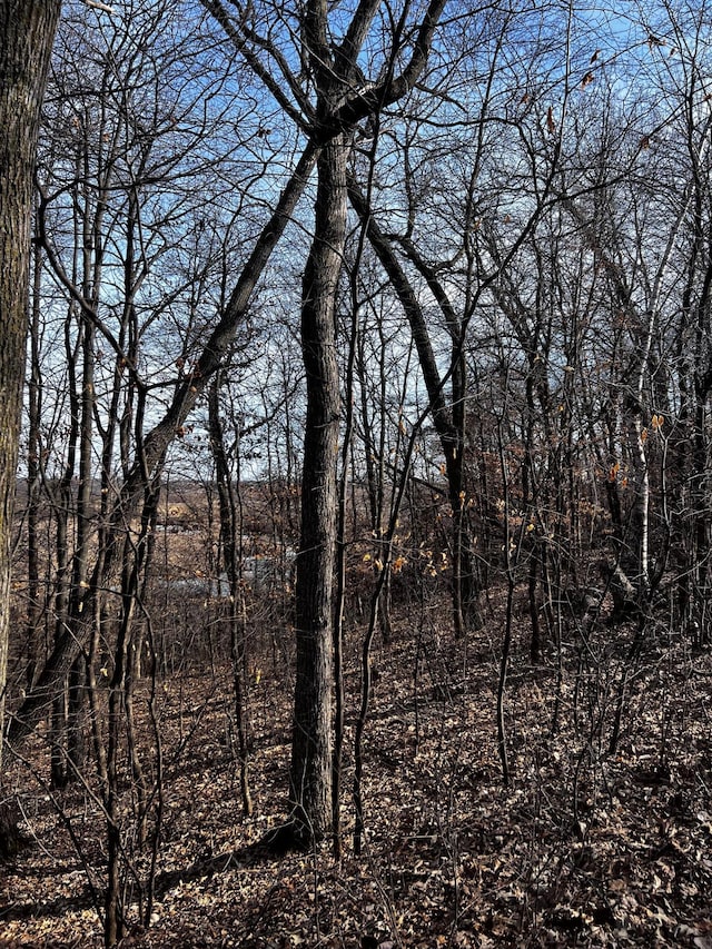 view of local wilderness