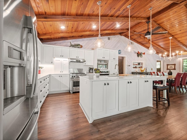 2904 Le Homme Dieu Vw NE, Alexandria, MN 56308 - kitchen with stainless steel appliances, wooden ceiling, under cabinet range hood, a sink, and light countertops