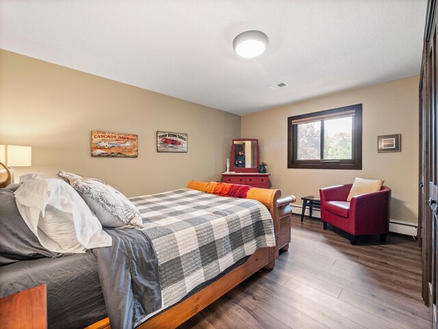 2904 Le Homme Dieu Vw NE, Alexandria, MN 56308 - bedroom with a baseboard radiator and wood finished floors