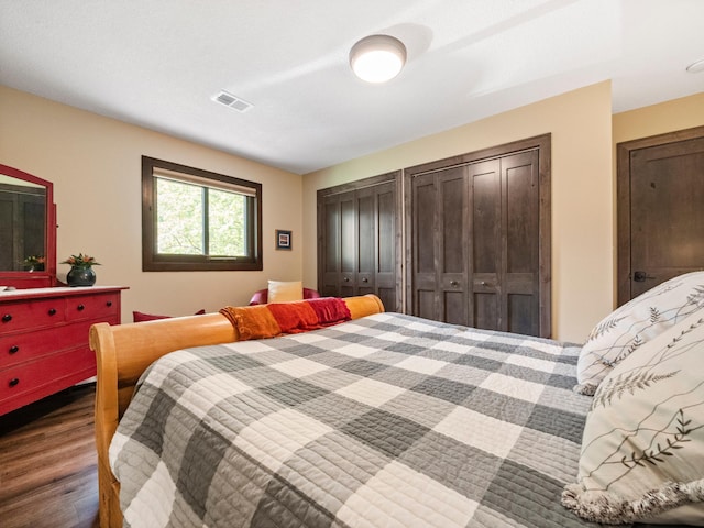 2904 Le Homme Dieu Vw NE, Alexandria, MN 56308 - bedroom with wood finished floors and multiple closets