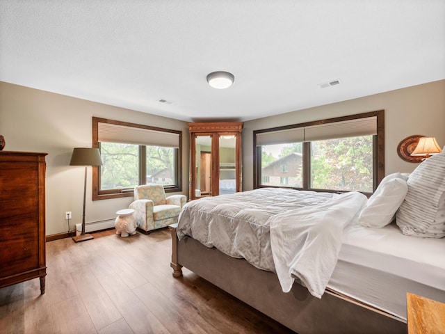2904 Le Homme Dieu Vw NE, Alexandria, MN 56308 - bedroom featuring multiple windows, a baseboard radiator, wood finished floors, and access to exterior