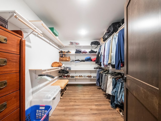 2904 Le Homme Dieu Vw NE, Alexandria, MN 56308 - spacious closet with wood finished floors