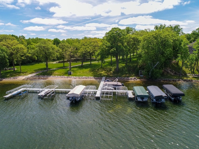 2904 Le Homme Dieu Vw NE, Alexandria, MN 56308 - dock featuring a water view and view of scattered trees