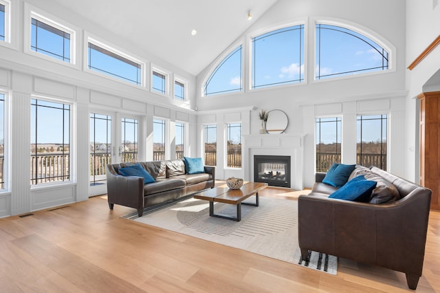 1502 Epperstone Enclave, Byron, MN 55920 - living room with high vaulted ceiling, light wood-style flooring, a multi sided fireplace, and plenty of natural light