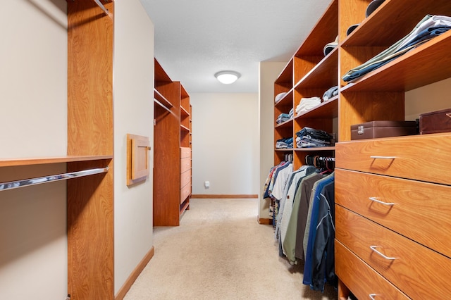 1502 Epperstone Enclave, Byron, MN 55920 - spacious closet featuring light carpet