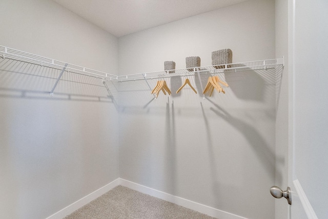 spacious closet featuring light carpet