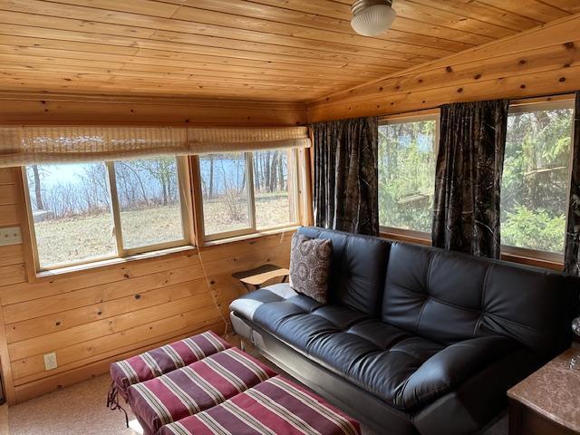 carpeted living area featuring plenty of natural light, wood ceiling, and wooden walls