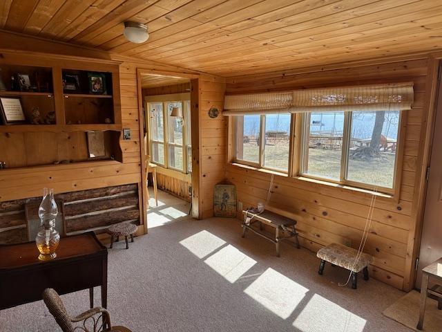 interior space with carpet, wood walls, and wooden ceiling