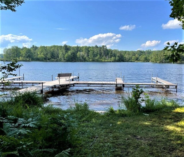 view of dock featuring a forest view and a water view