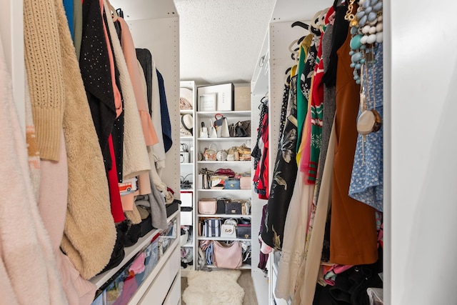 walk in closet with carpet flooring