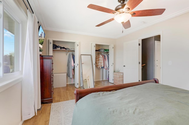 bedroom featuring light wood-type flooring, two closets, ceiling fan, and crown molding