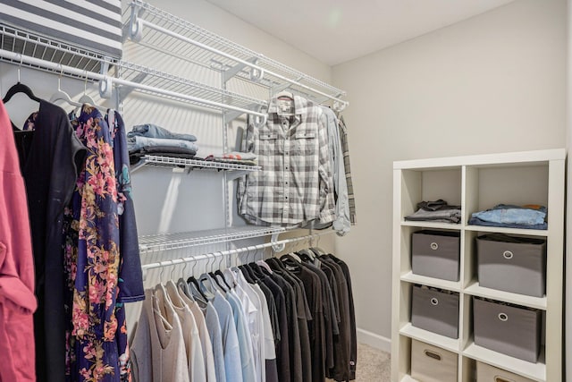 walk in closet with carpet floors