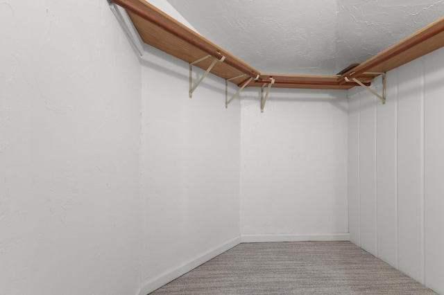 walk in closet featuring carpet