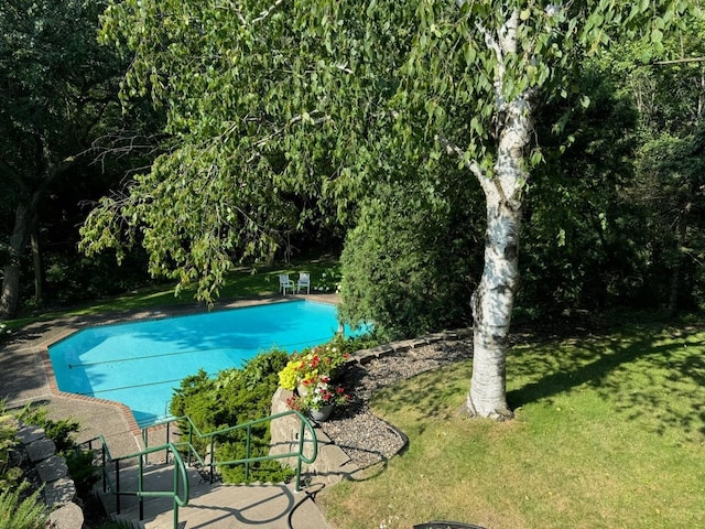 pool with a patio and a lawn