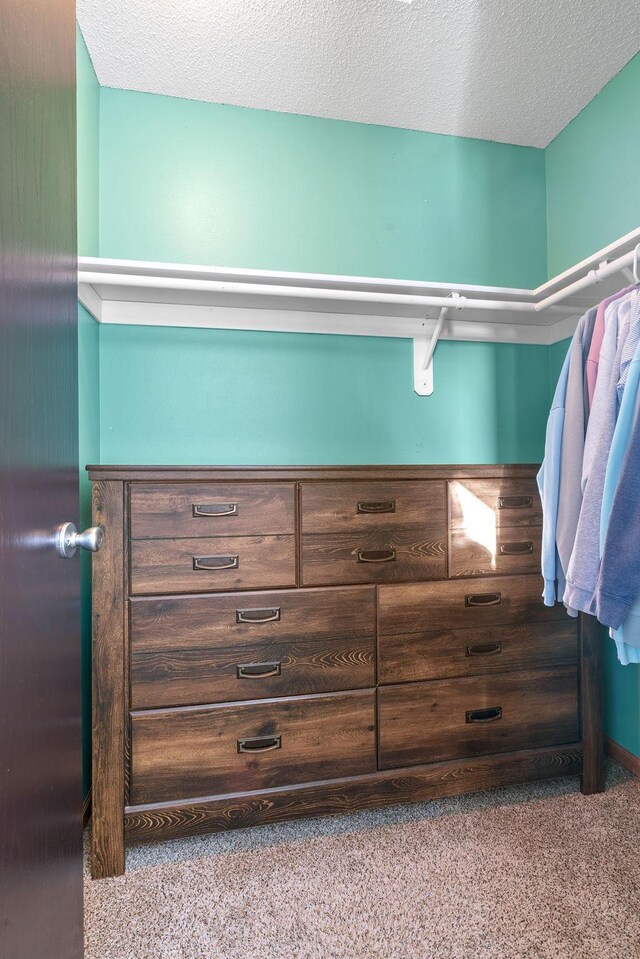 spacious closet with carpet floors