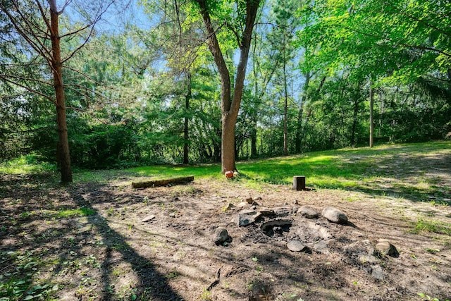 view of yard featuring a wooded view