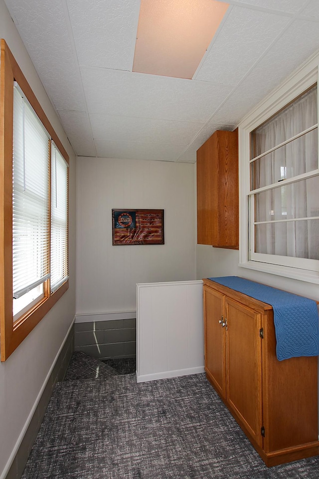 21 1st St NE, Fairfax, MN 55332 - kitchen with brown cabinetry and dark colored carpet