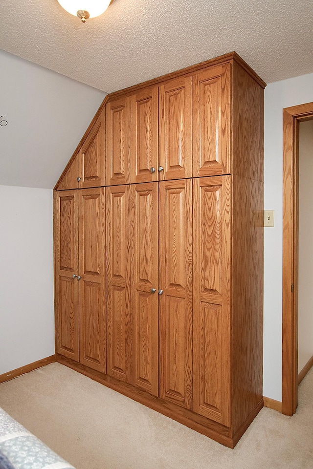 21 1st St NE, Fairfax, MN 55332 - detailed view of carpet floors and a textured ceiling