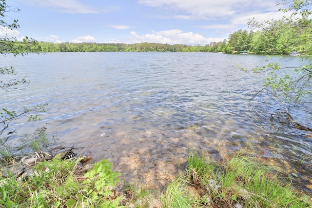 property view of water with a wooded view