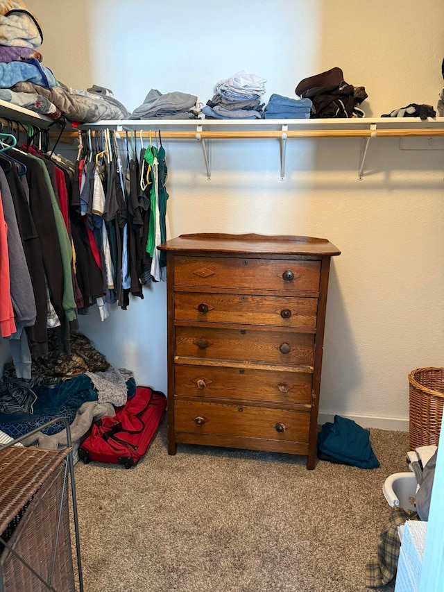 walk in closet featuring carpet floors