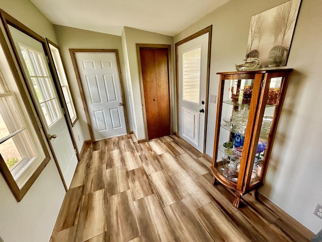 1789 Glynview Trl, Faribault, MN 55021 - entryway with light wood-type flooring and lofted ceiling