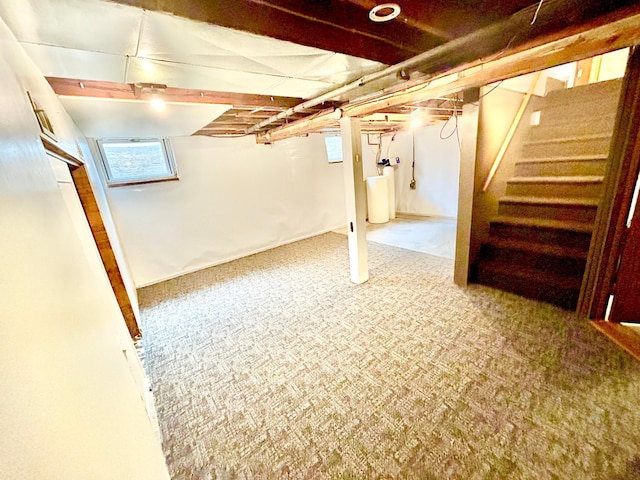 1789 Glynview Trl, Faribault, MN 55021 - basement featuring healthy amount of natural light, stairway, carpet, and a water softener system