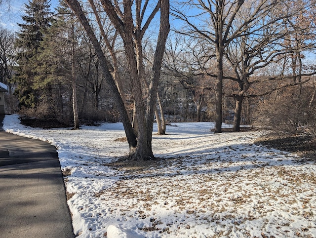 view of yard layered in snow